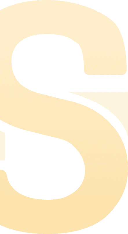 s-vector